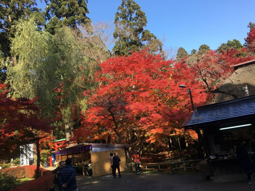 岩手県平泉町様